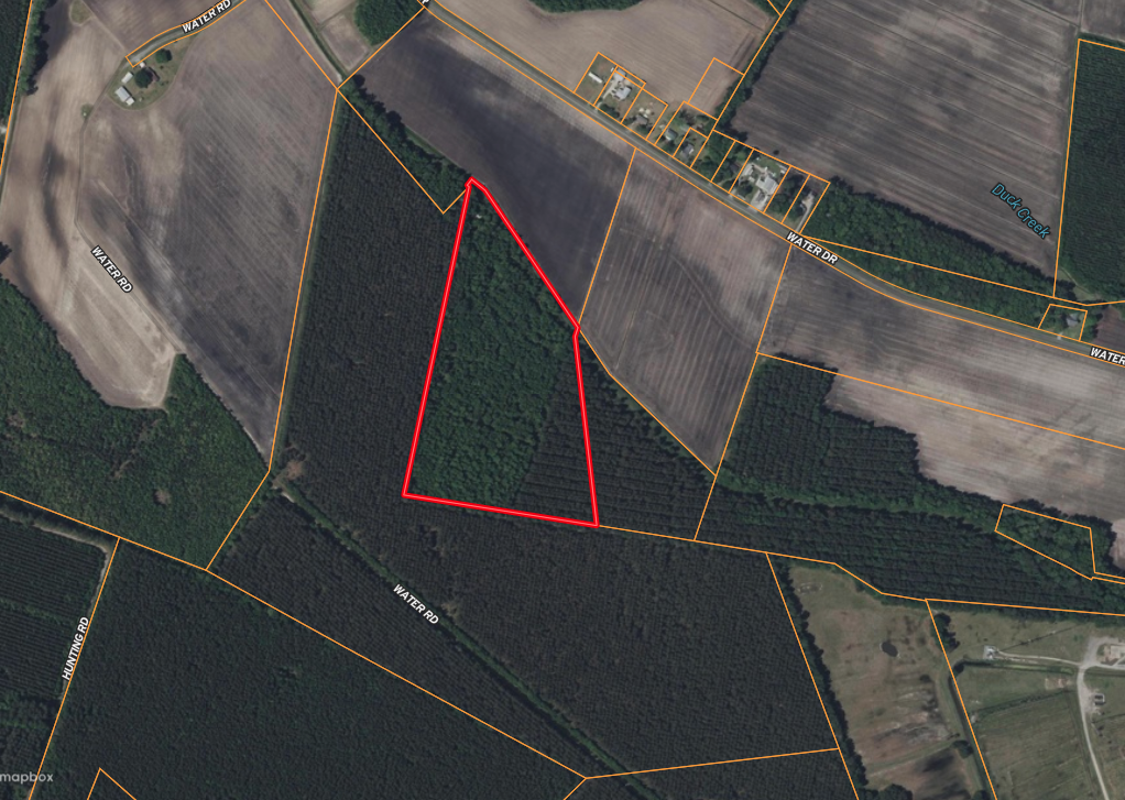 25 AC Timber & Hunting Tract Near Bath, NC – Secluded Gem